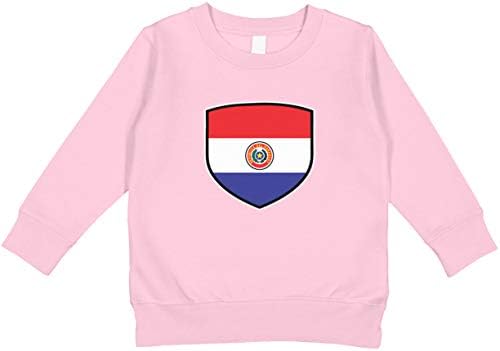 Hoody за деца Amdesco Paraguay Shield с Парагвайским Флага